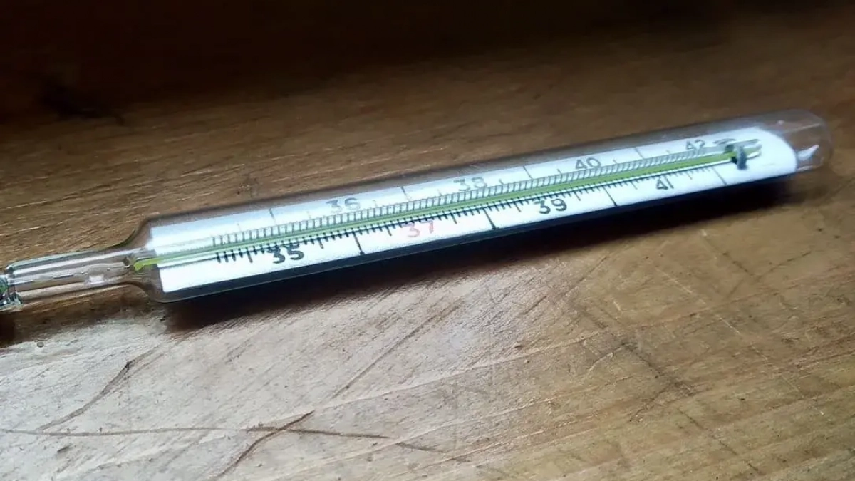 Штамм «Цикада» уже охватывает треть случаев COVID в Европе — грозит ли он Башкирии