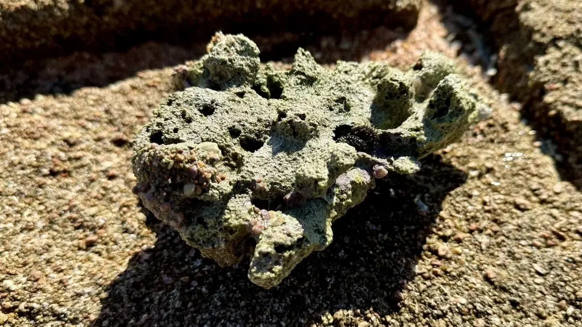 Башкирия примет IV Международный геологический чемпионат «ГеоВызов» в 2026 году