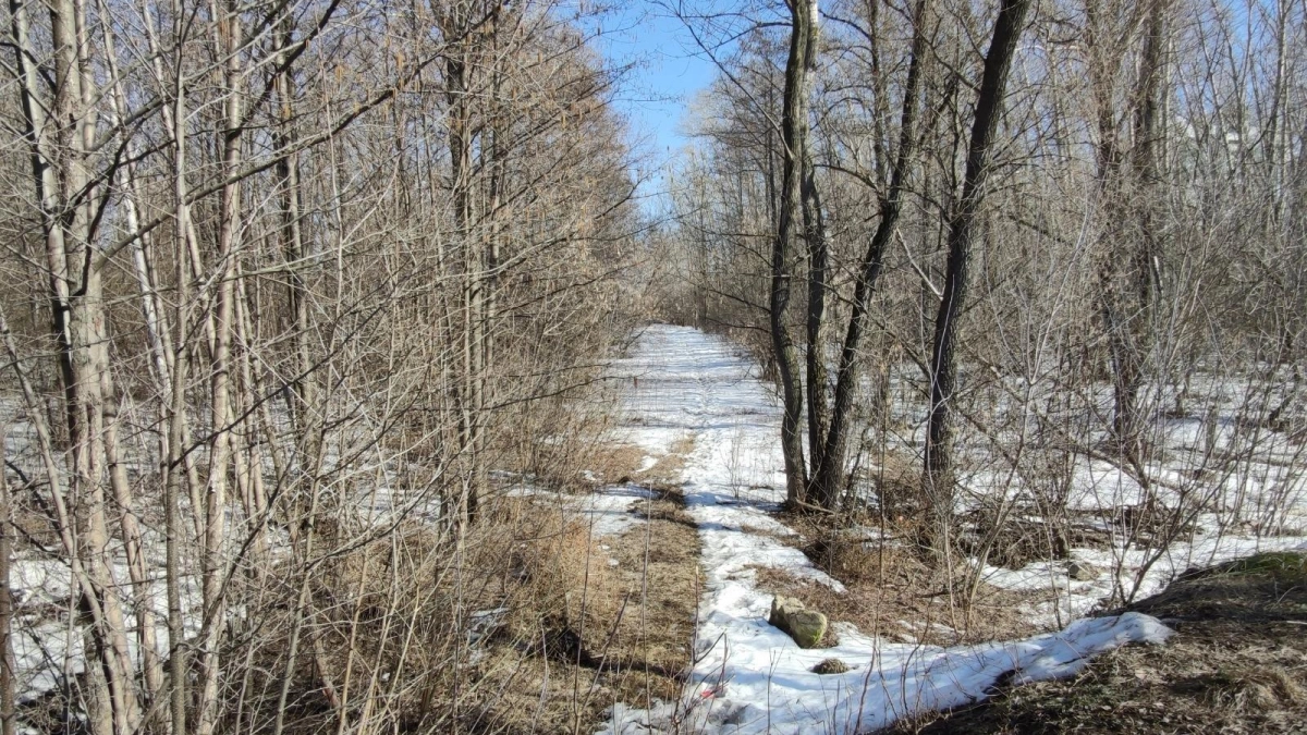 После аномального тепла в Башкирии с 3 апреля резко похолодает