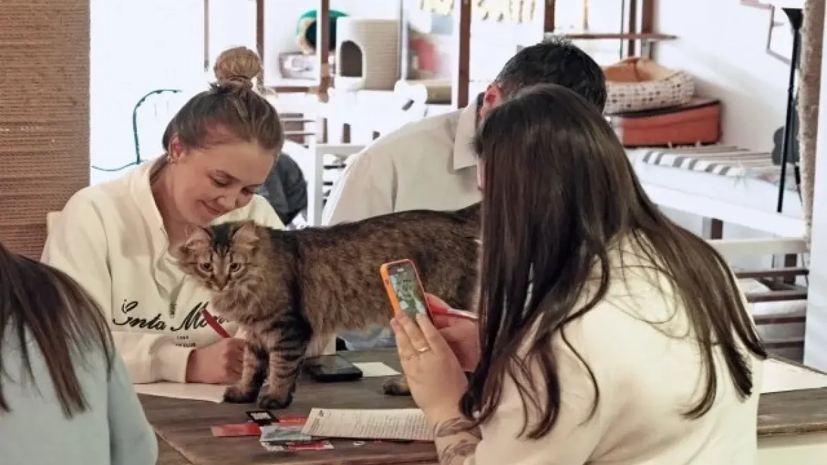 Тотальный диктант в Уфе: 50 площадок и уже 15-й раз подряд