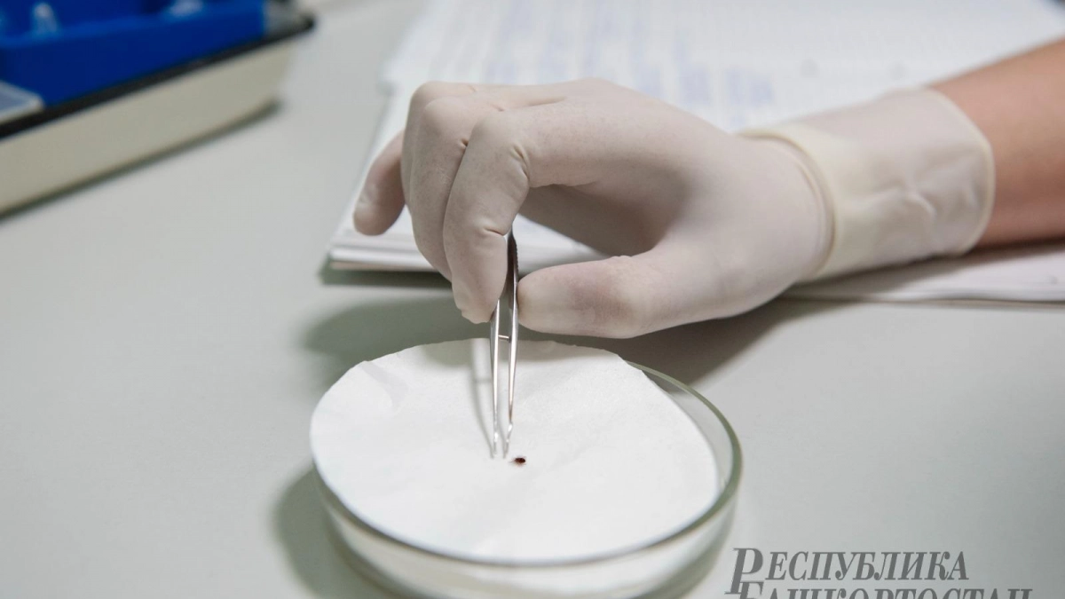 В Башкирии семь человек обратились в больницы из-за укусов клещей