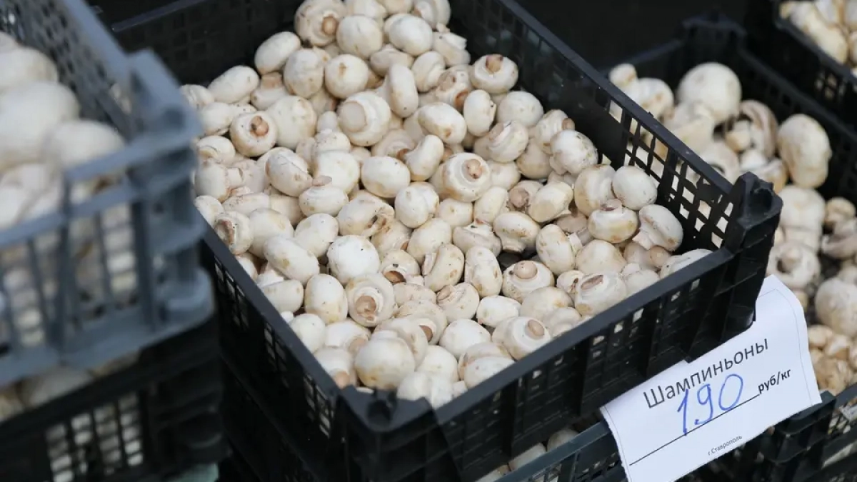 В Башкирии с 3 по 5 апреля откроются ярмарки в 29 городах и районах