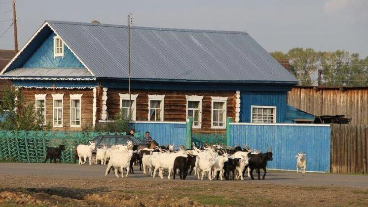 Аренда домов в Башкирии подешевела на треть: что происходит с рынком