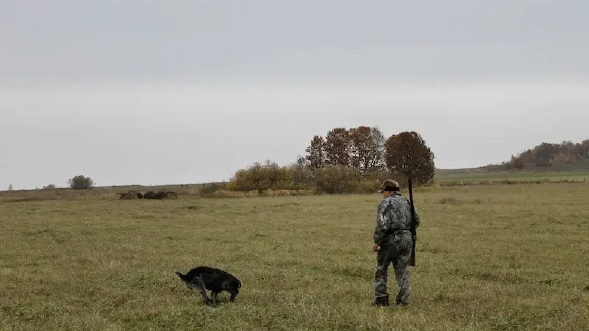 Башкирия платит охотникам до 50 тысяч за отстрел хищников, угрожающих людям