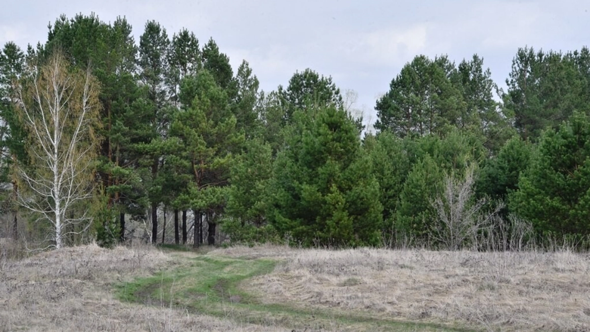 В Башкирии открыт пожароопасный сезон: первые очаги уже тушат