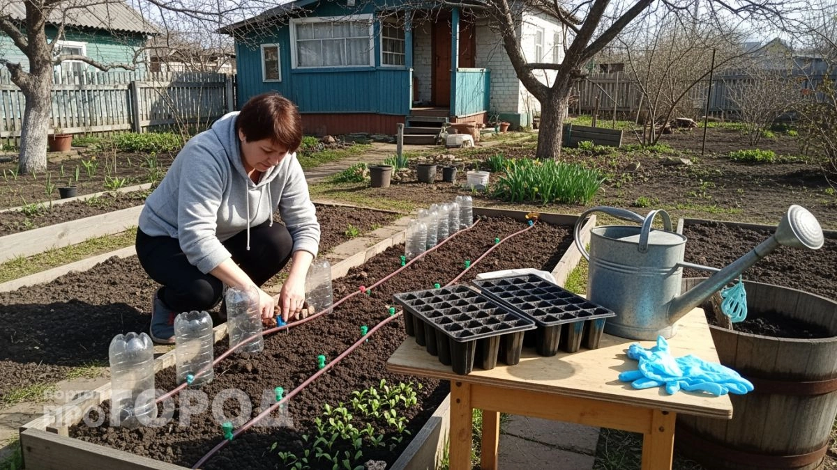 Больше не мучаюсь с прополкой: купила 8 дачных новинок 2026 года и теперь всё делаю без боли в спине