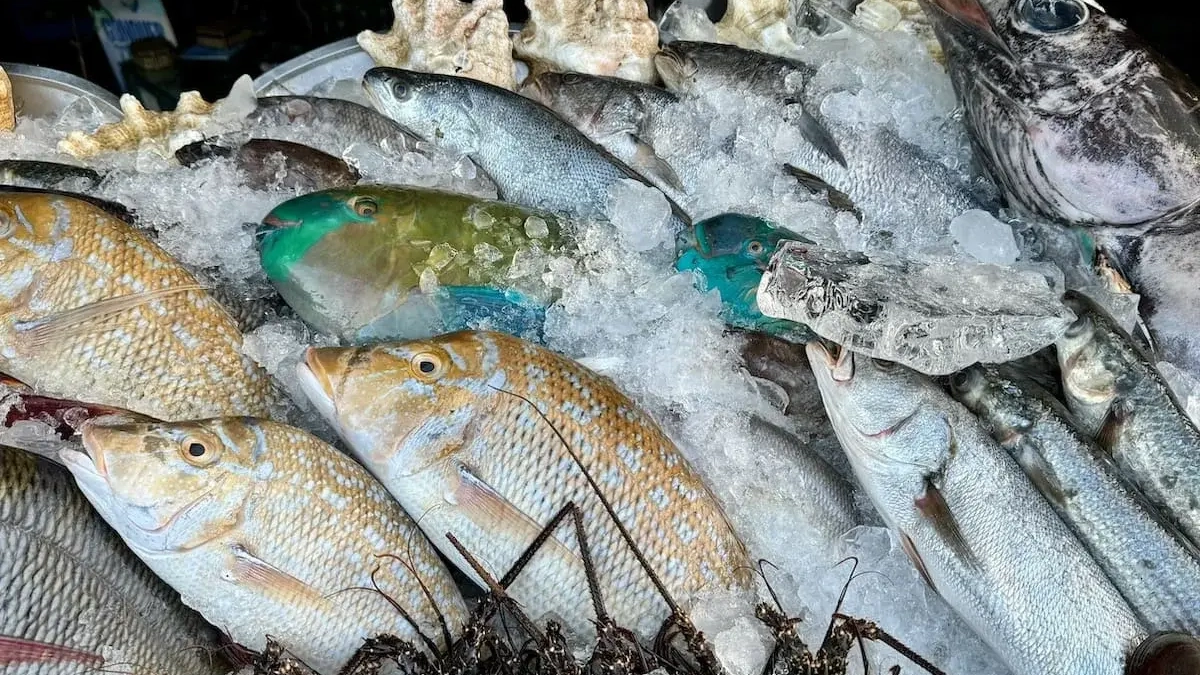 В Башкирии число заболевших описторхозом выросло в 2,4 раза за год