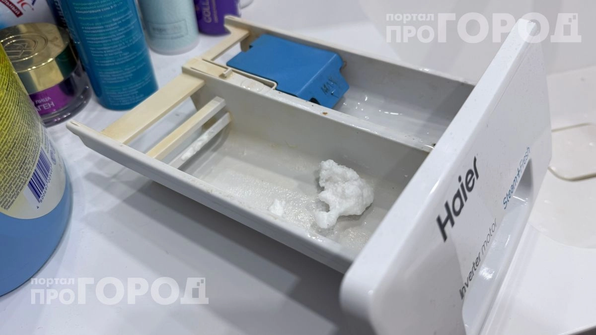 Мастер по ремонту раскрыл главную ошибку при стирке: куда сыпать порошок, чтобы продлить жизнь вашей технике