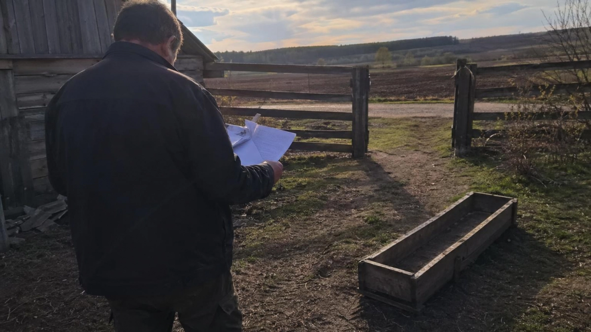 Житель Башкирии потратил субсидию на скот по своему усмотрению и попал под суд