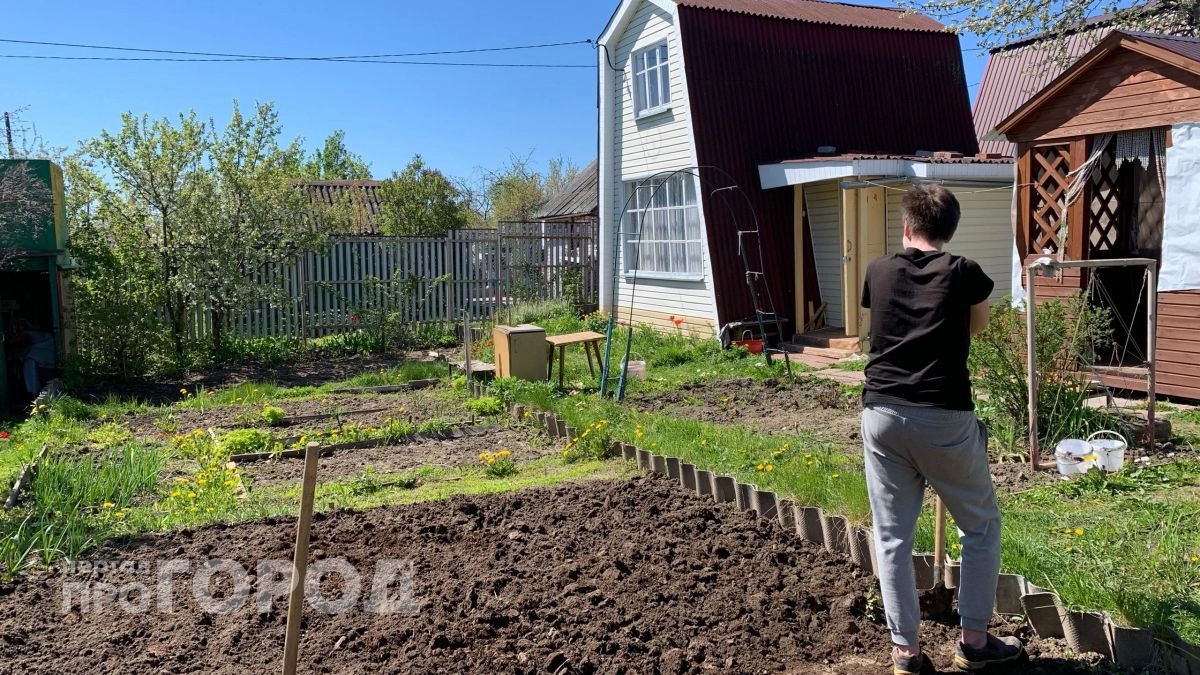 Забудьте про прополку: я засеваю грядки этим растением и навсегда избавляюсь от сорняков без лишних усилий