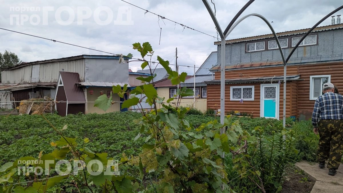 Забудьте про откачку септика навсегда: три простых способа обустроить канализацию своими руками за копейки