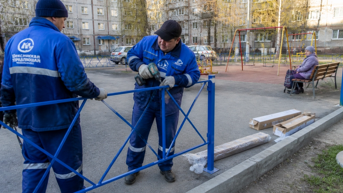Бастрыкин взял под контроль дело о стае собак у школы в Уфе