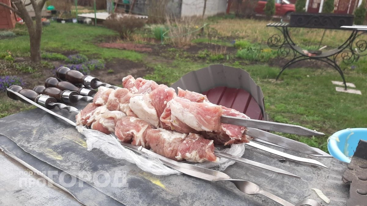 Забудьте про свинину и говядину: названо мясо для идеального шашлыка, которое снижает холестерин и вес