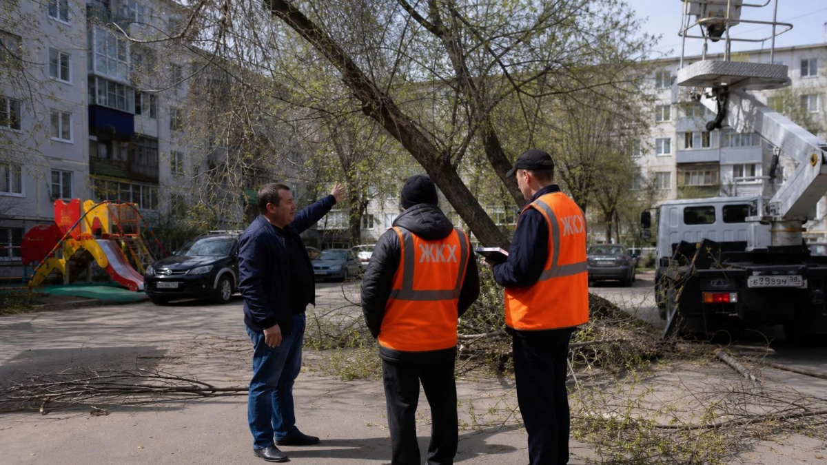 Как законно спилить аварийное дерево в Уфе: пошаговый алгоритм