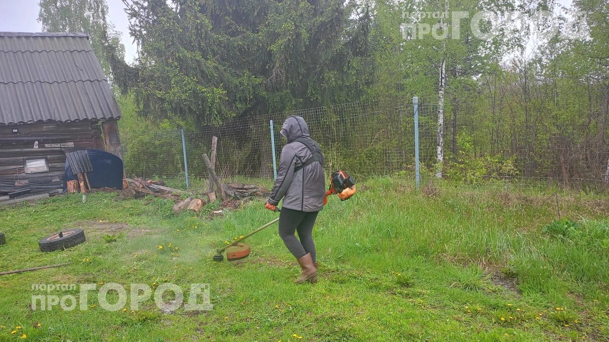 Перестаньте выбрасывать скошенную траву: четыре простых способа превратить обычный мусор в элитное удобрение