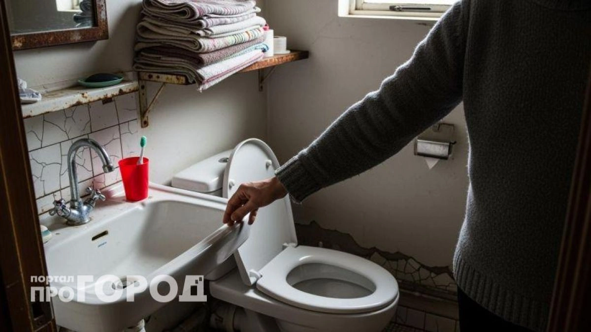 Вы просто выбрасываете деньги на ветер: сантехник объяснил почему унитаз не предназначен для бумаги