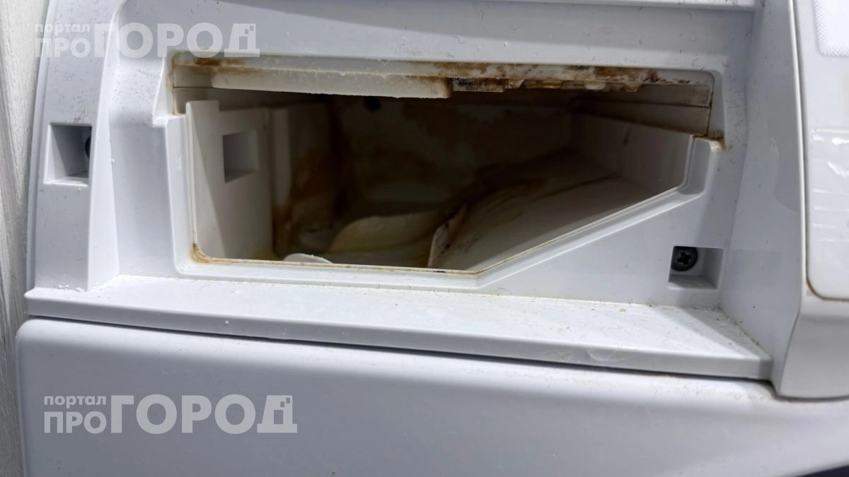 Стирка больше не пахнет сыростью: простой способ убрать черную грязь из манжеты всего за пять минут
