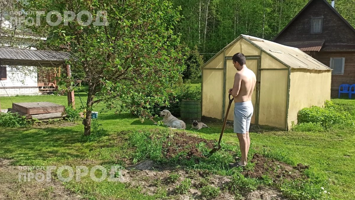Провел простой тест с полотенцем на даче и нашел клещей: вот как обезопасить участок за пять минут прямо сейчас