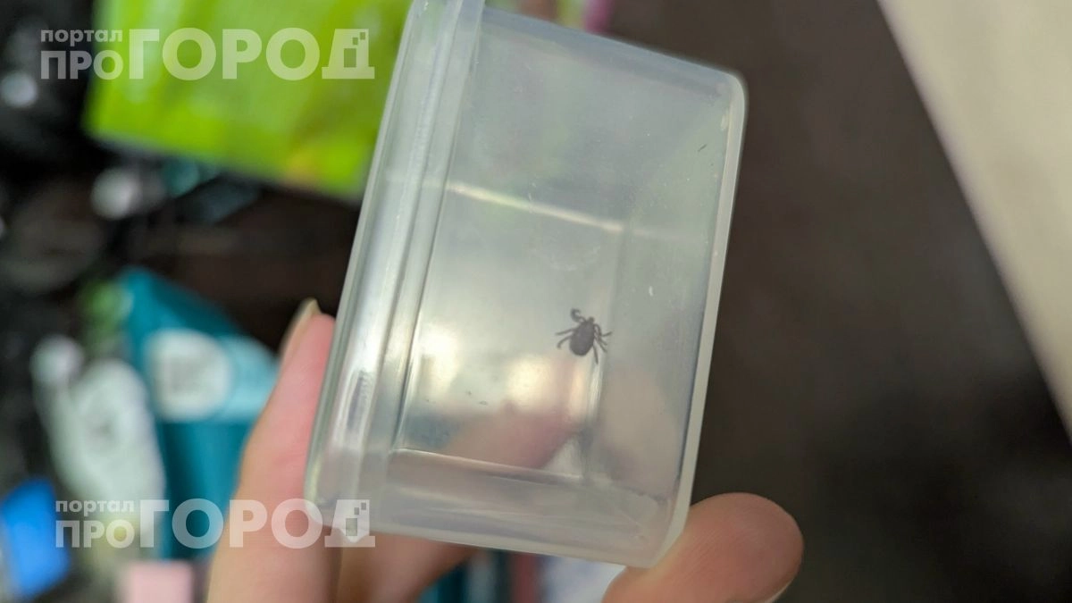 Забудьте про дорогих репеллентов: нанесите эти две капли на свои кроссовки и клещи не приблизятся ни на шаг