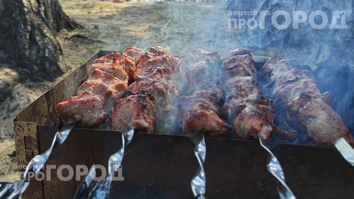 Хватит переплачивать за дорогую шею: раскройте секрет бюджетного куска для самого сочного шашлыка