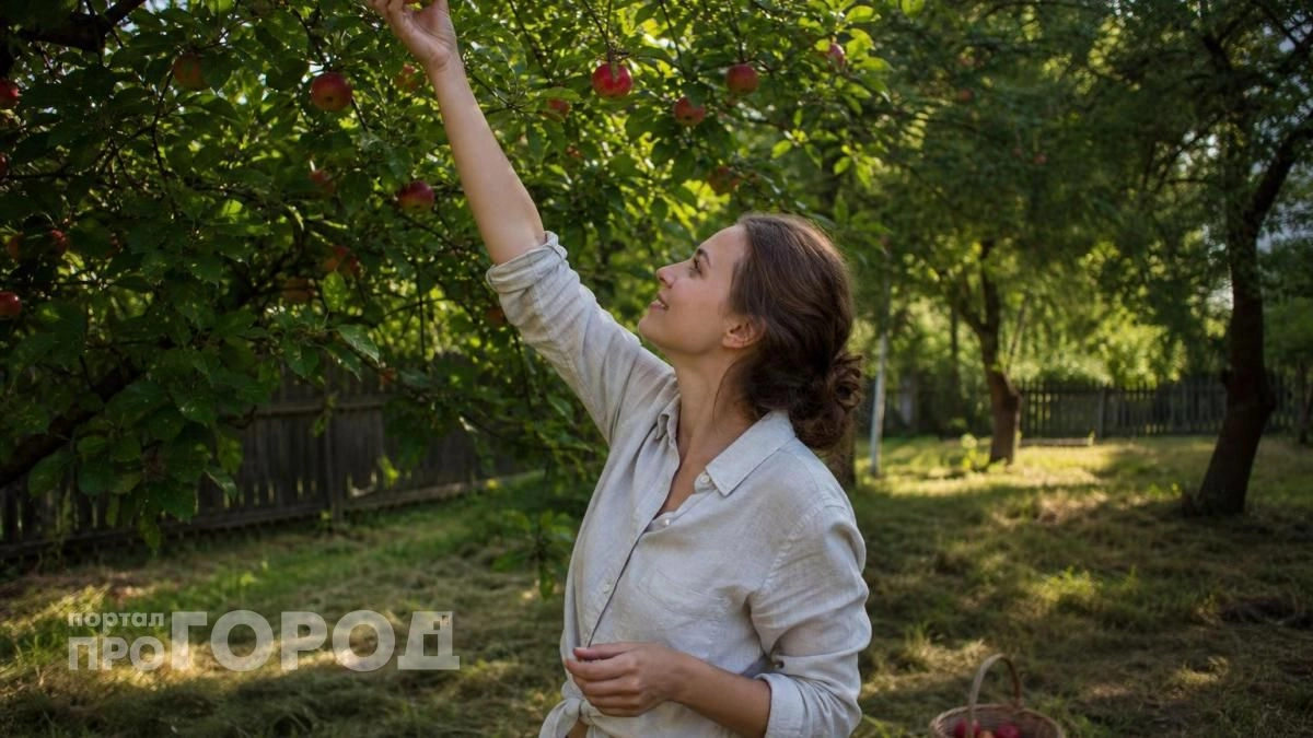 Защитила яблони от плодожорки за пять минут: копеечное средство на ветках сохранит урожай чистым до осени