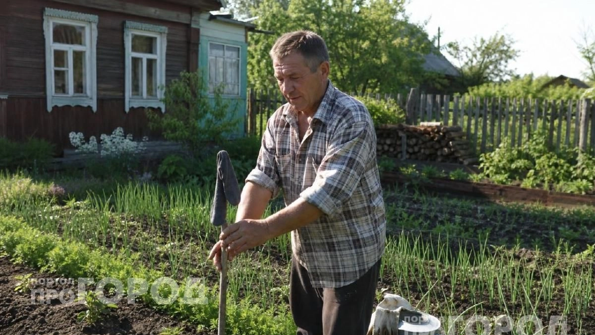 Комары облетают мой участок стороной: показываю, как один старый носок на палке спасает от укусов на весь вечер