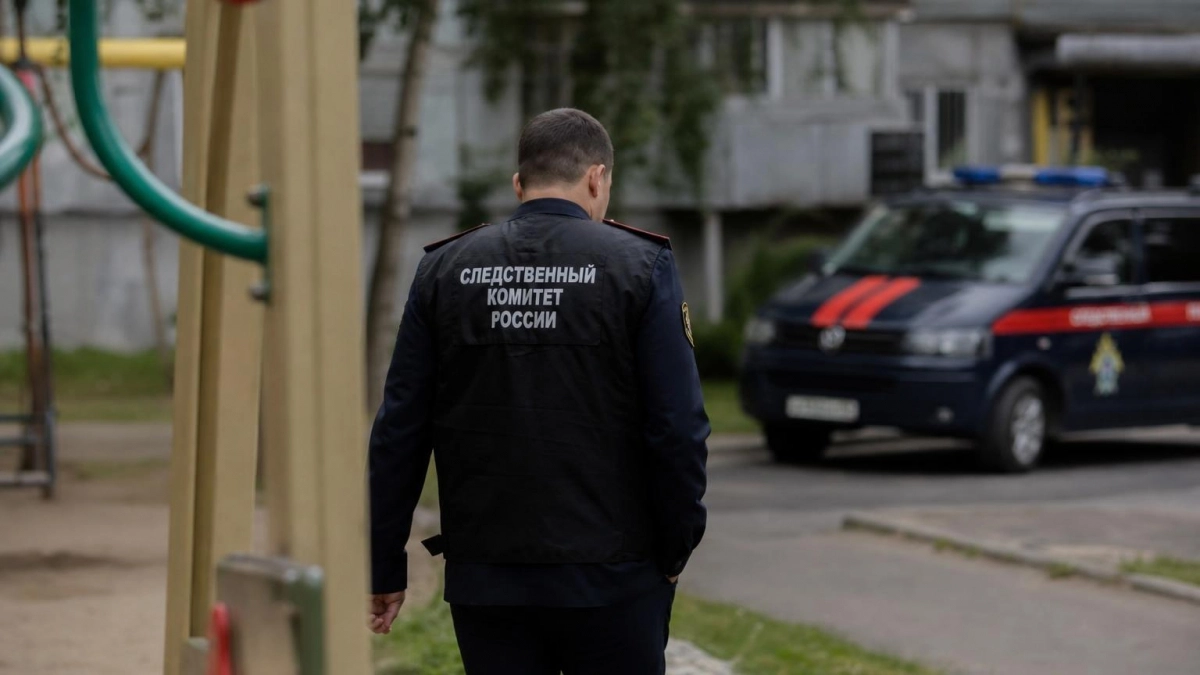 В Стерлитамаке после нападения стаи собак на ребенка возбудили уголовное дело