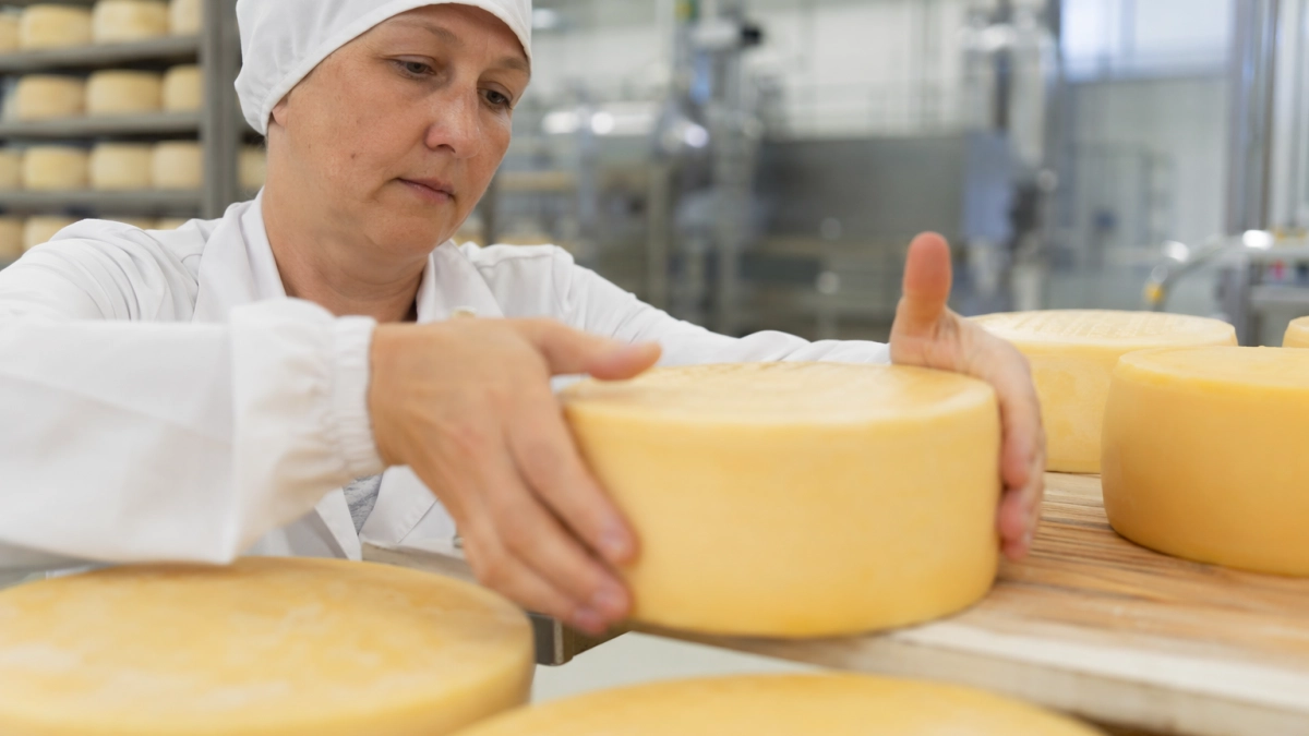 Башкирия увеличила выпуск сыра на 6,5% и вошла в тройку ПФО
