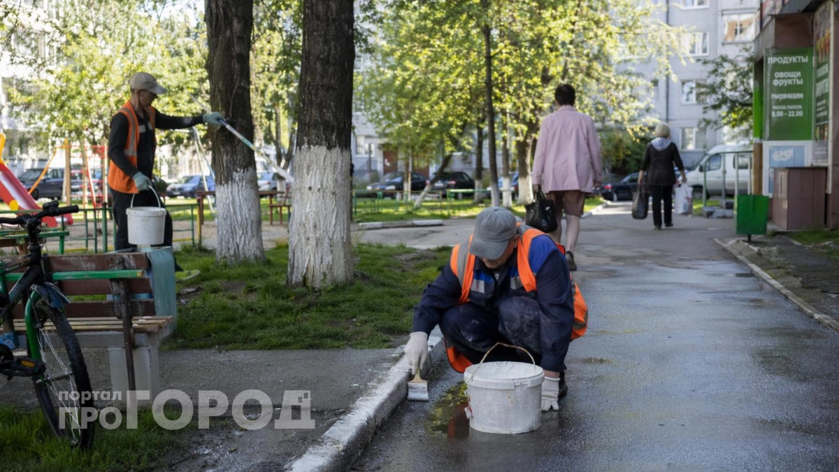 Все считали побелку деревьев пережитком прошлого: на самом деле это скрытая защита с военной историей