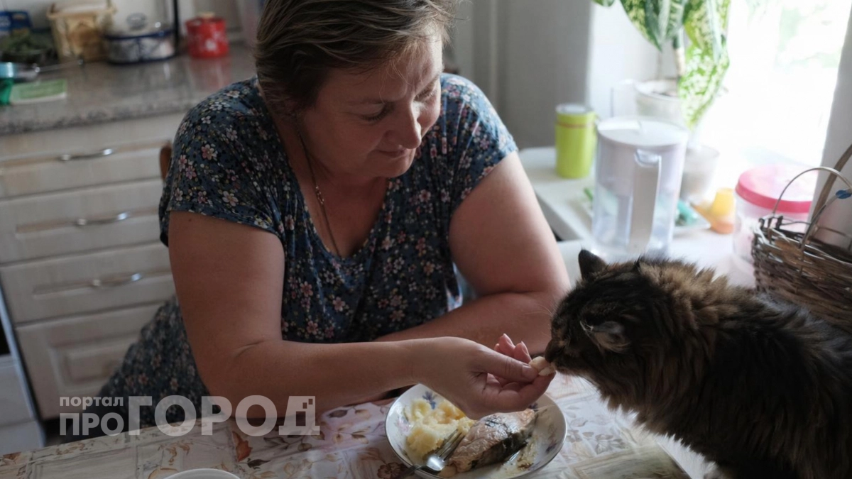 Вы медленно убиваете своего питомца: список привычных продуктов с вашего стола, которые губят кошек