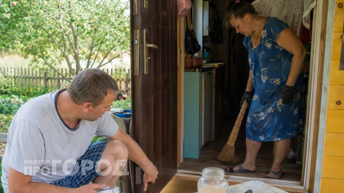 Мыши исчезли навсегда за одну ночь: использую это аптечное средство и забыла про отраву и ловушки навсегда