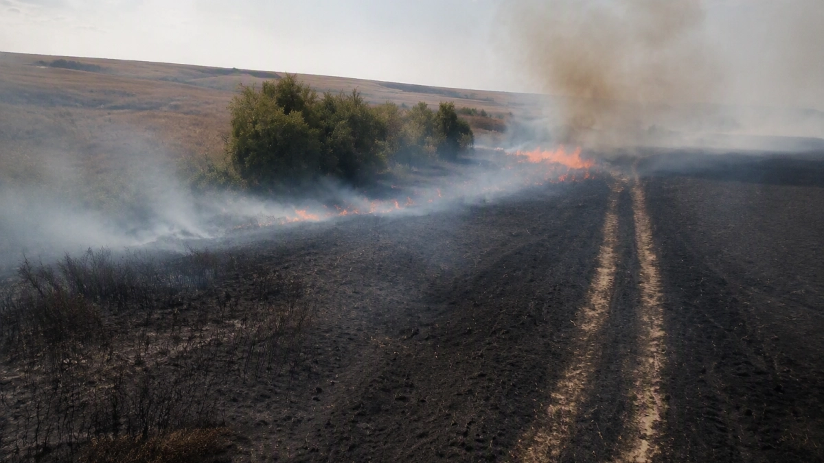 В Башкирии за сутки потушили лесной пожар и пять палов сухой травы