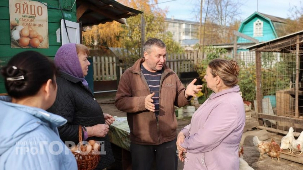 Хватит верить мифам: объясняю на пальцах биологию куриных яиц и почему петух здесь вообще ни при чем