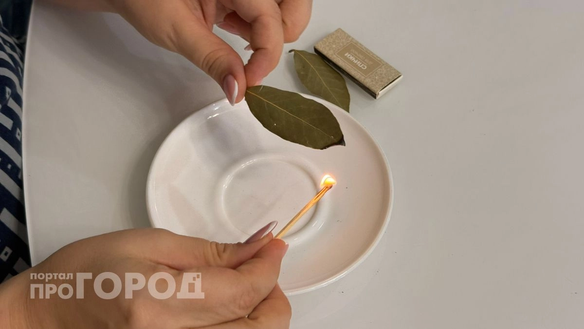 Хватит тратить лавровый лист только на готовку: поджигаю его дома и наслаждаюсь результатом весь октябрь