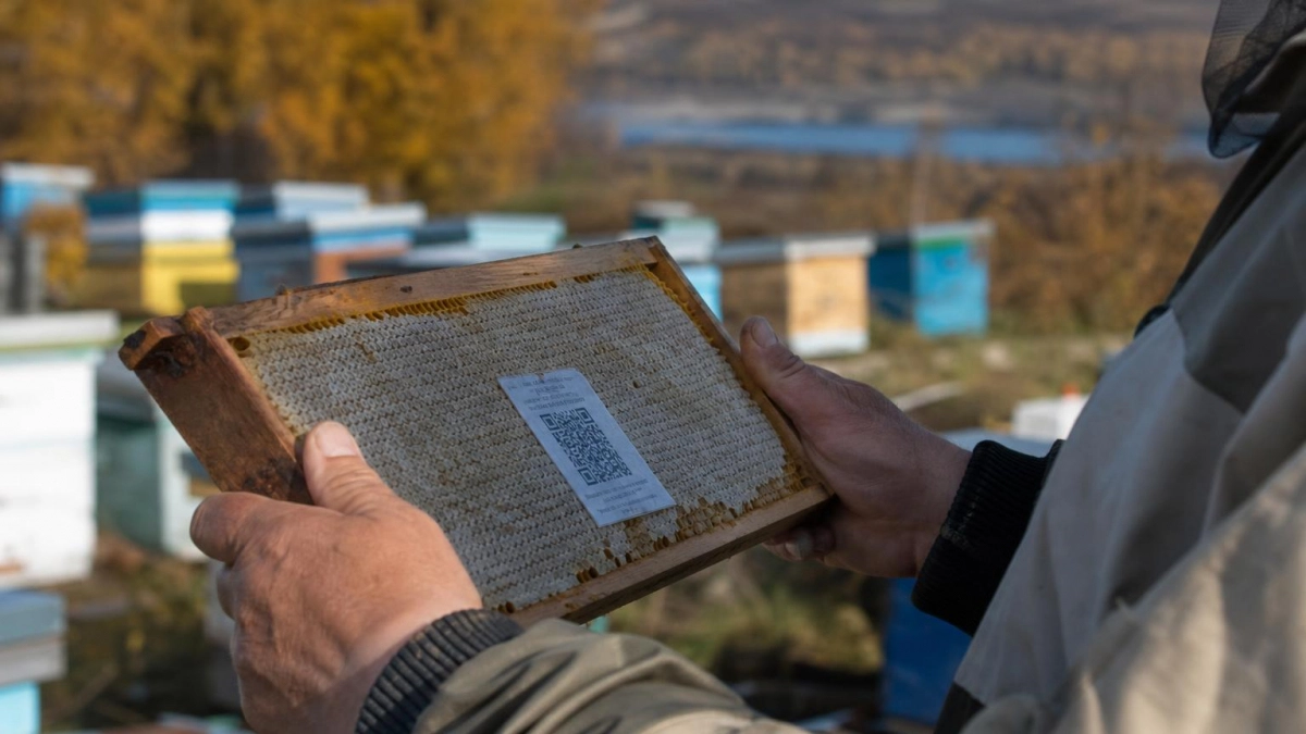 В Башкирии банки мёда начали маркировать QR-кодами для защиты от фальсификата