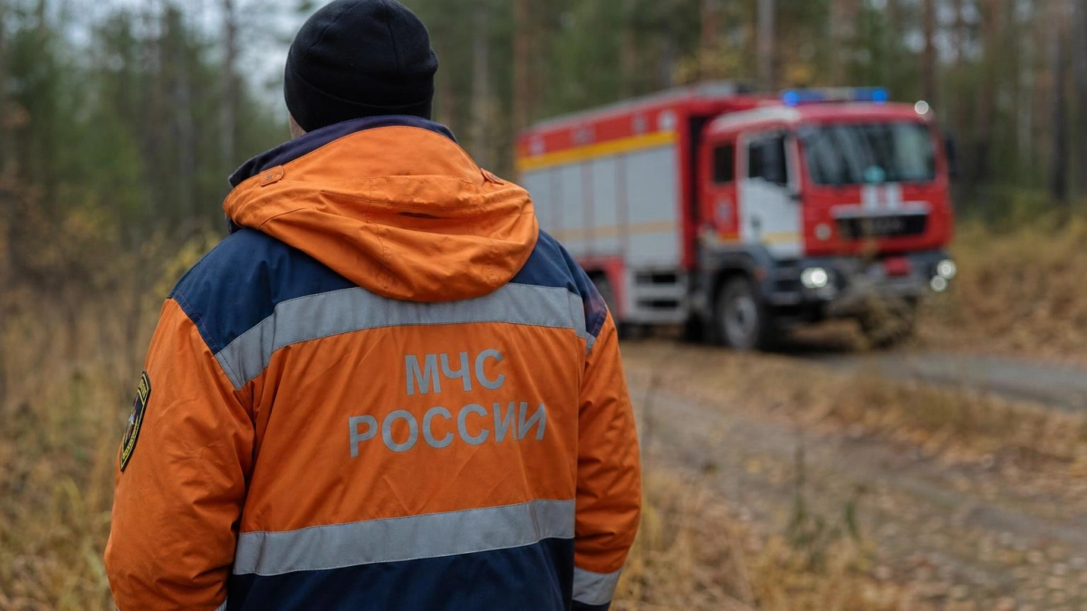 В Башкирии с начала года потушили 34 лесных пожара на площади 288 гектаров